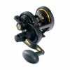 Brand new 👍 Overhead Reels Penn Fathom Lever Drag 25N 2 Speed Overhead Fishing Reel ✨