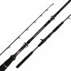Flash Sale 😉 Spinning Rods Penn Ocean Assassin Jig Overhead Rods 😀